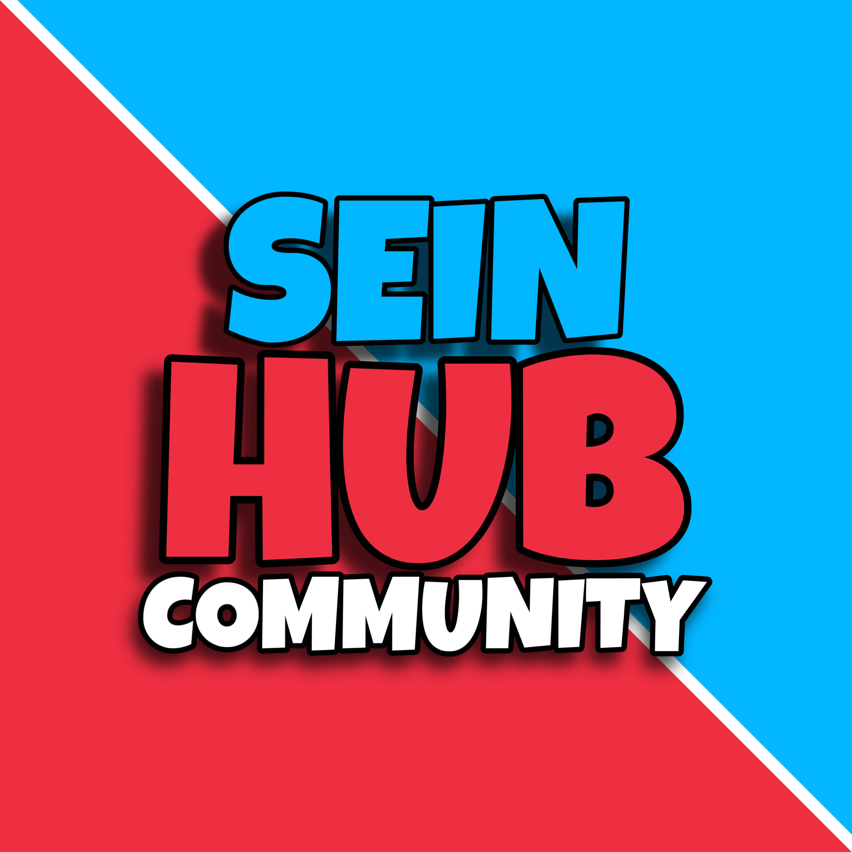 SeinHub Logo